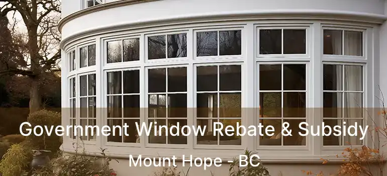  Government Window Rebate & Subsidy Mount Hope - BC