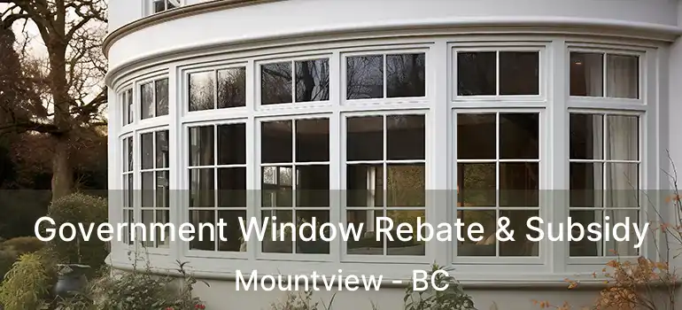  Government Window Rebate & Subsidy Mountview - BC