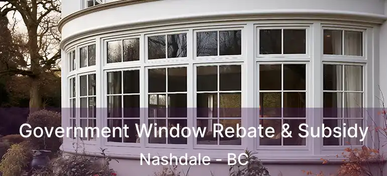  Government Window Rebate & Subsidy Nashdale - BC