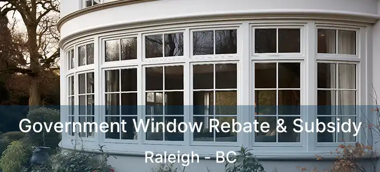  Government Window Rebate & Subsidy Raleigh - BC