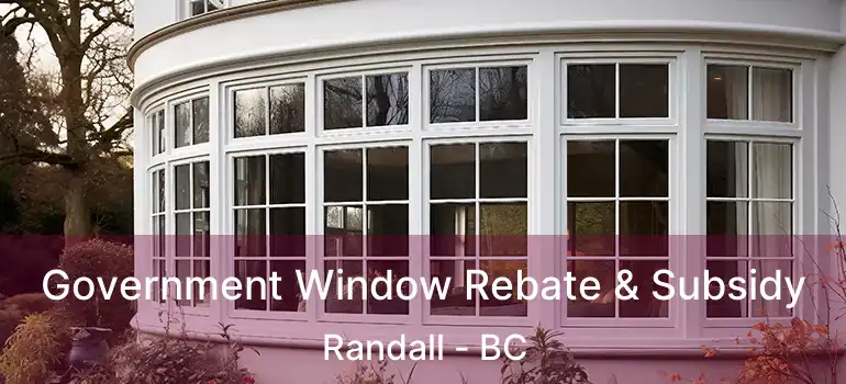  Government Window Rebate & Subsidy Randall - BC