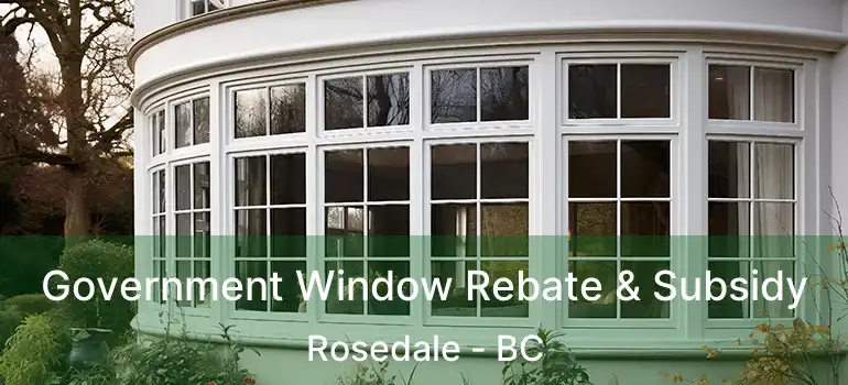  Government Window Rebate & Subsidy Rosedale - BC