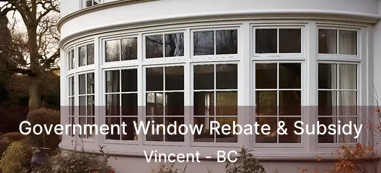  Government Window Rebate & Subsidy Vincent - BC