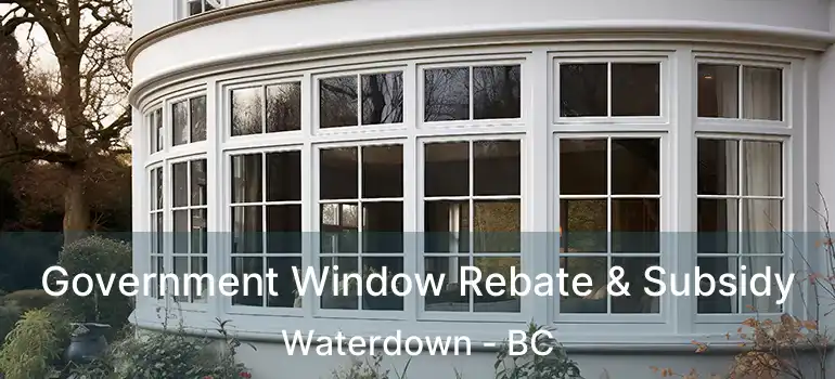  Government Window Rebate & Subsidy Waterdown - BC