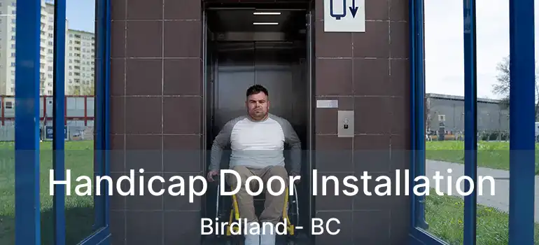  Handicap Door Installation Birdland - BC