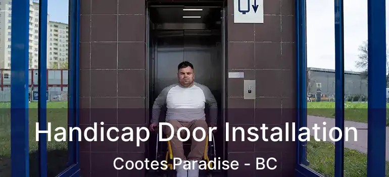  Handicap Door Installation Cootes Paradise - BC