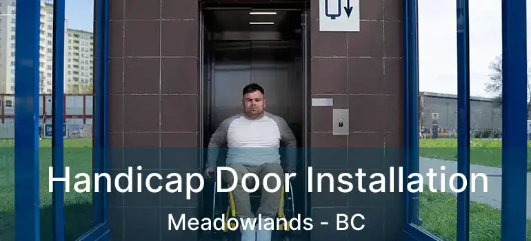  Handicap Door Installation Meadowlands - BC