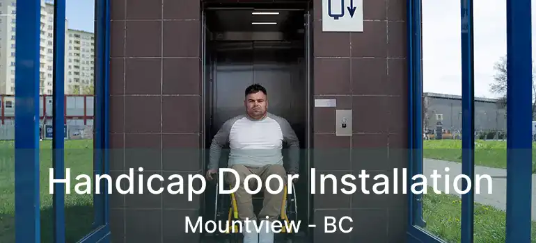  Handicap Door Installation Mountview - BC