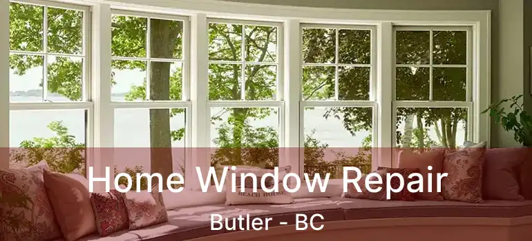  Home Window Repair Butler - BC