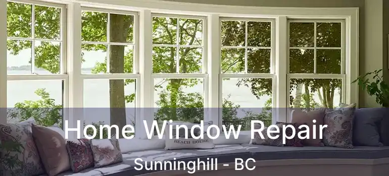  Home Window Repair Sunninghill - BC