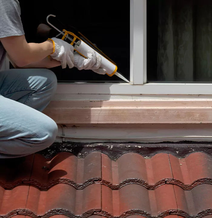 Roof Window Services in Delta, British Columbia