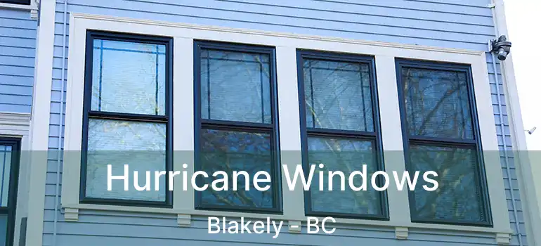  Hurricane Windows Blakely - BC