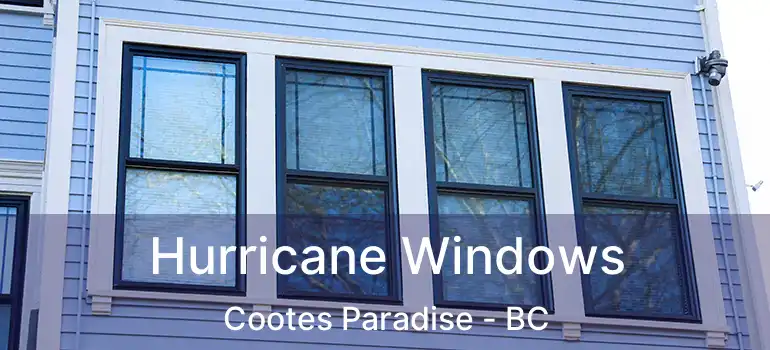 Hurricane Windows Cootes Paradise - BC
