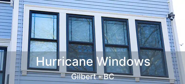  Hurricane Windows Gilbert - BC