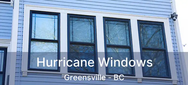  Hurricane Windows Greensville - BC