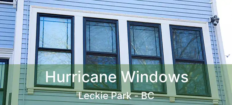  Hurricane Windows Leckie Park - BC