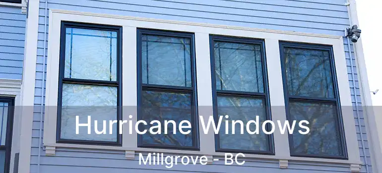  Hurricane Windows Millgrove - BC