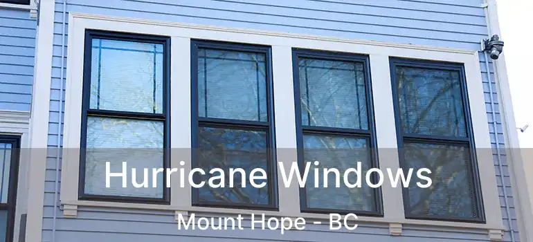  Hurricane Windows Mount Hope - BC