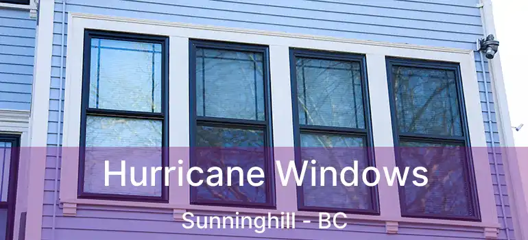  Hurricane Windows Sunninghill - BC