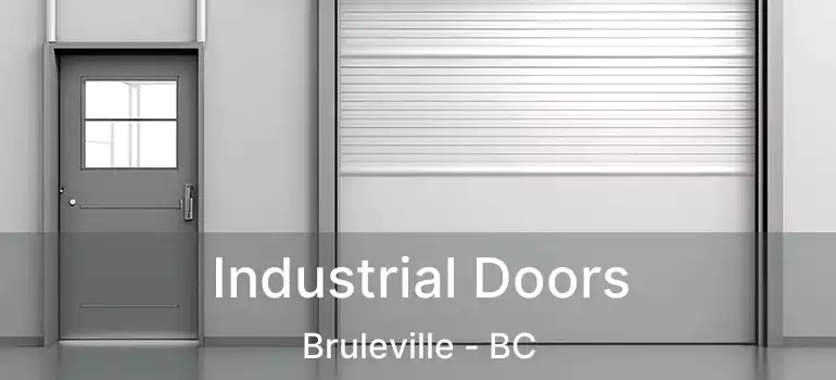  Industrial Doors Bruleville - BC