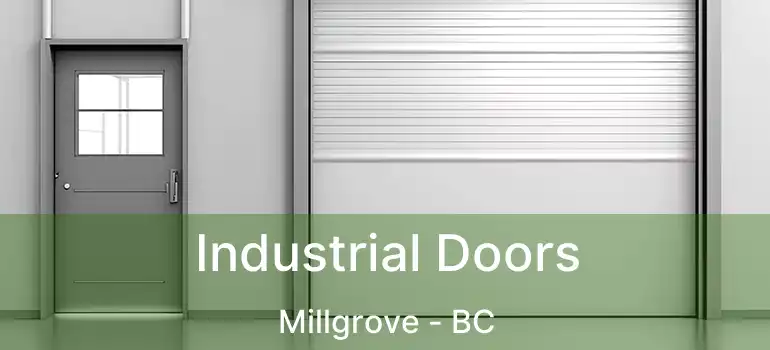  Industrial Doors Millgrove - BC