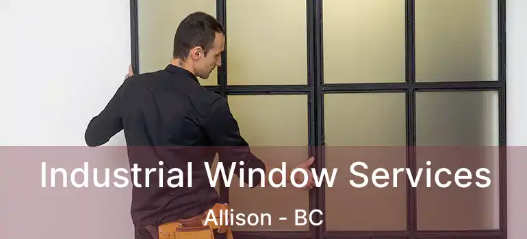  Industrial Window Services Allison - BC