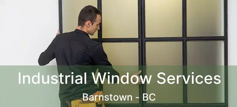  Industrial Window Services Barnstown - BC