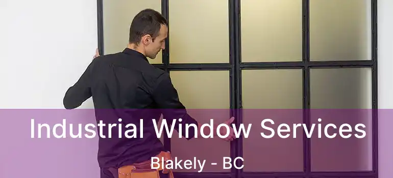  Industrial Window Services Blakely - BC