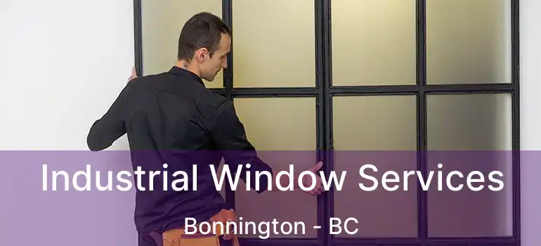  Industrial Window Services Bonnington - BC