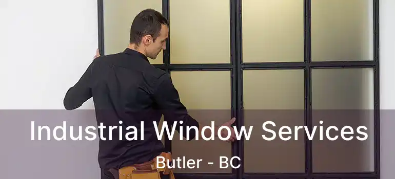  Industrial Window Services Butler - BC