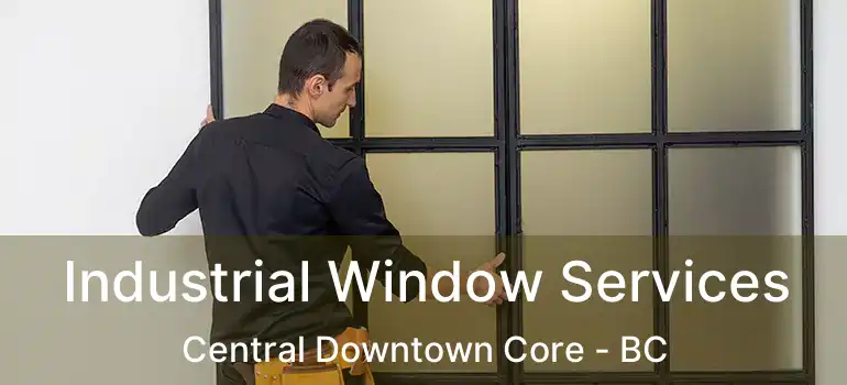  Industrial Window Services Central Downtown Core - BC