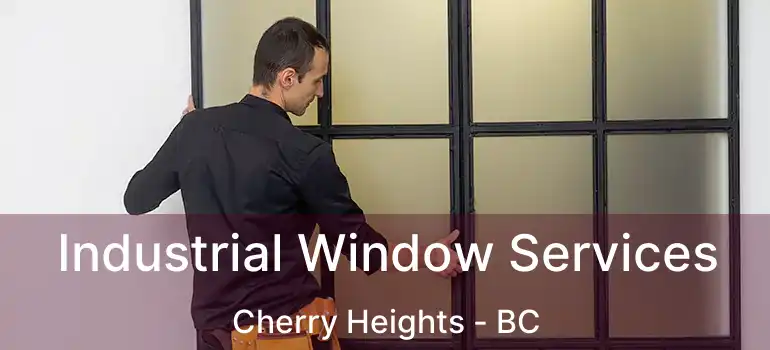  Industrial Window Services Cherry Heights - BC