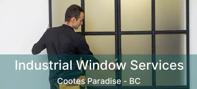  Industrial Window Services Cootes Paradise - BC