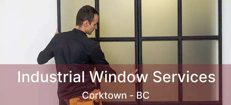  Industrial Window Services Corktown - BC