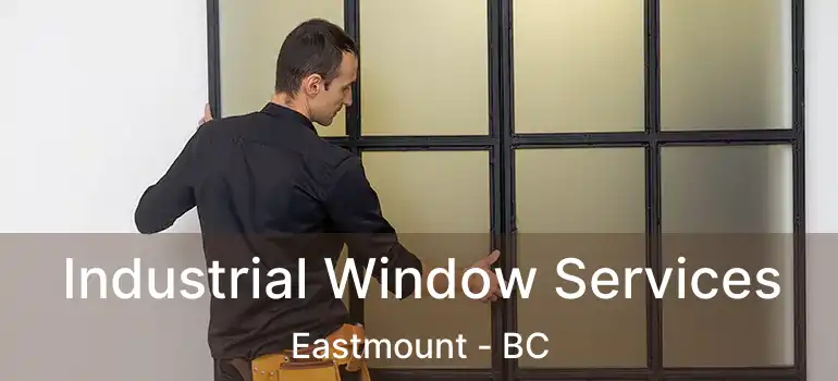  Industrial Window Services Eastmount - BC