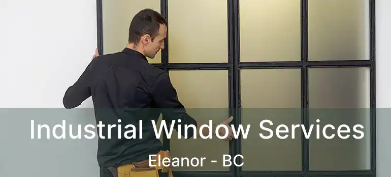  Industrial Window Services Eleanor - BC