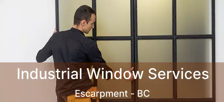  Industrial Window Services Escarpment - BC