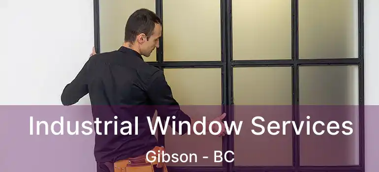  Industrial Window Services Gibson - BC