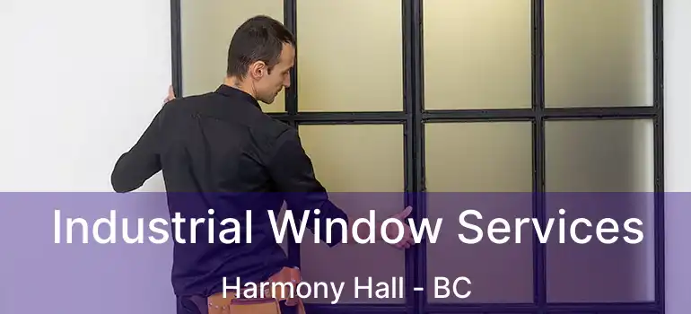  Industrial Window Services Harmony Hall - BC