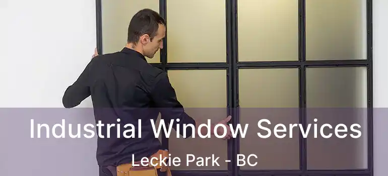  Industrial Window Services Leckie Park - BC