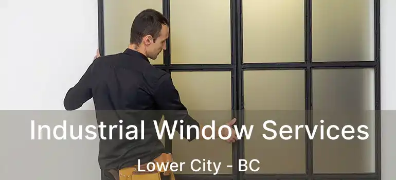  Industrial Window Services Lower City - BC