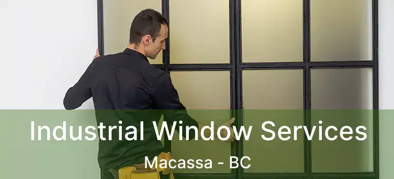  Industrial Window Services Macassa - BC