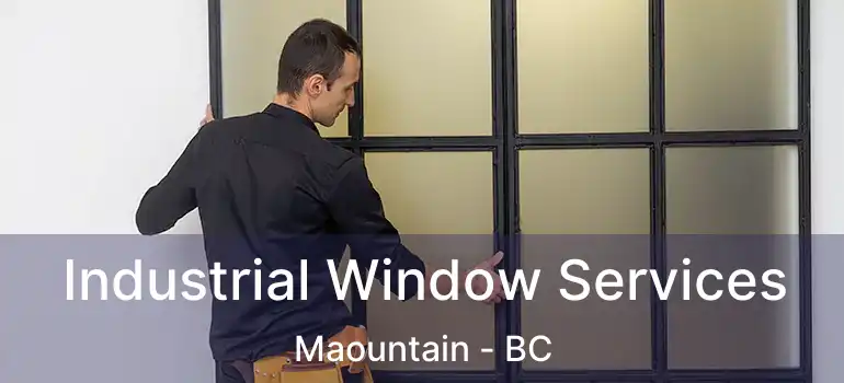  Industrial Window Services Maountain - BC