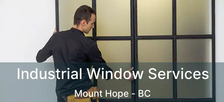  Industrial Window Services Mount Hope - BC