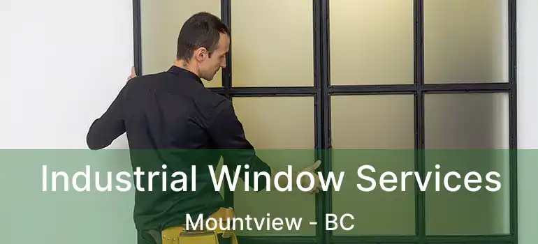  Industrial Window Services Mountview - BC