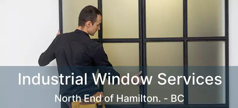  Industrial Window Services North End of Hamilton. - BC