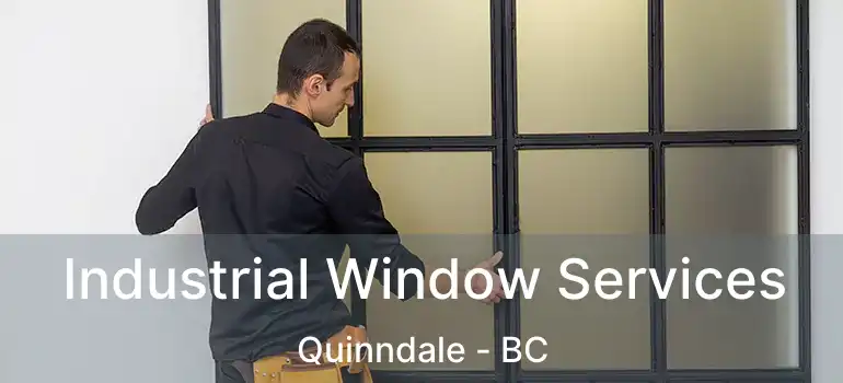  Industrial Window Services Quinndale - BC