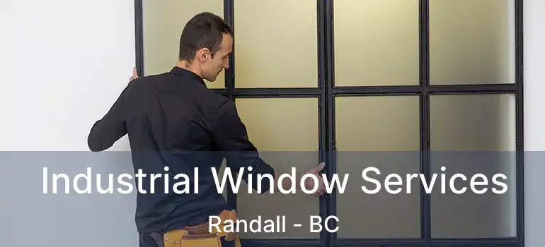  Industrial Window Services Randall - BC