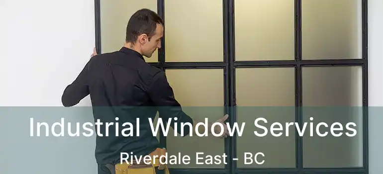  Industrial Window Services Riverdale East - BC