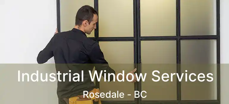  Industrial Window Services Rosedale - BC
